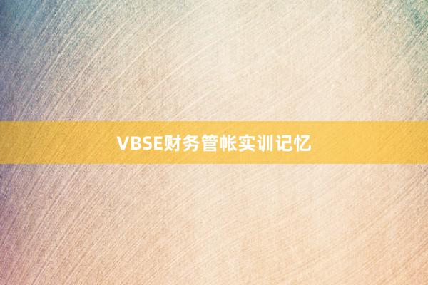 VBSE财务管帐实训记忆